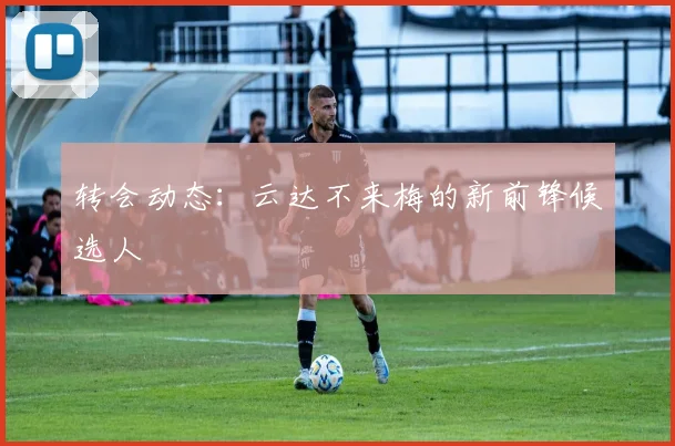 转会动态：云达不来梅的新前锋候选人