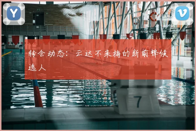 转会动态：云达不来梅的新前锋候选人