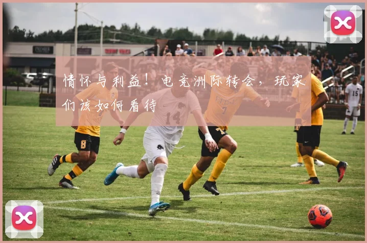 情怀与利益！电竞洲际转会，玩家们该如何看待