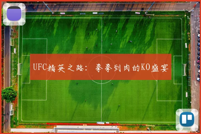 UFC精英之路：拳拳到肉的KO盛宴