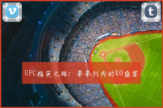 UFC精英之路：拳拳到肉的KO盛宴