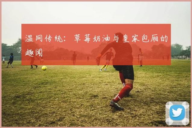 温网传统:草莓奶油与皇家包厢的趣闻