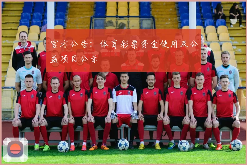 官方公告：体育彩票资金使用及公益项目公示